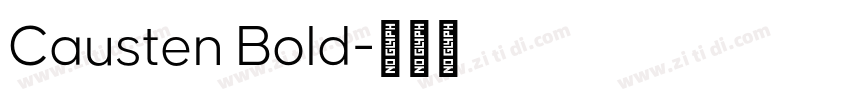 Causten Bold字体转换